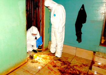 Prisión perpetua por matar y enterrar a la madrastra para quedarse con un terreno