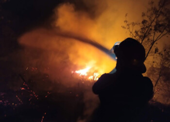 Bomberos activan protocolo de prevención de incendios forestales en Misiones
