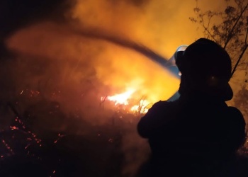 Bomberos activan protocolo de prevención de incendios forestales en Misiones