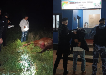 Lo detuvieron por matar al caballo de su sobrina a machetazos