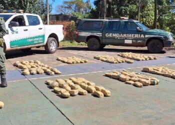 “Flores de la Costa”: decomisan más de 320 kilos de marihuana en Puerto Piray