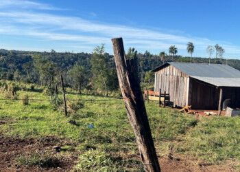 Buscan el cráneo de José de Olivera para realizar la autopsia