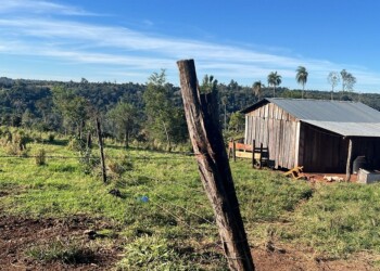 Macabro: hallan parte del cuerpo de un hombre en una chacra misionera