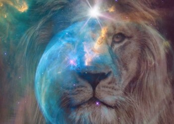 888: Portal del León