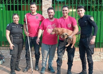 Rescataron a un perro atrapado en una alcantarilla