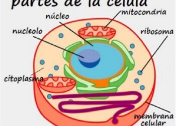 Cómo estamos hoy y cómo queremos estar mañana