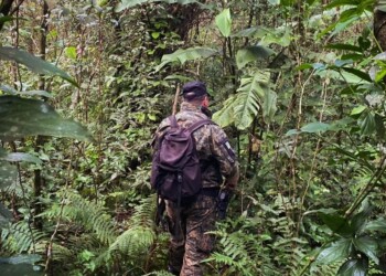 Casi dos semanas después, sigue la búsqueda del docente eldoradense
