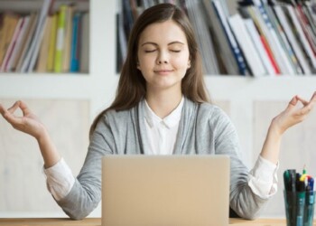 Ley de la reversibilidad