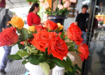 Ni los aumentos frenan la venta de flores ante la llegada de la primavera