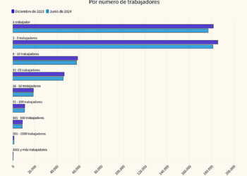 Crisis: desde que asumió Milei, ya cerraron más de 9.000 micropymes en Argentina
