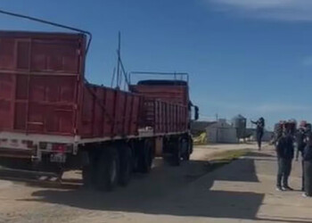 A lo “Breaking Bad”: narcos tenían criadero de pollos como fachada