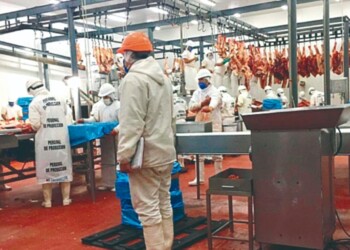 Senasa habilitó un sistema de enfriamiento por aspersión