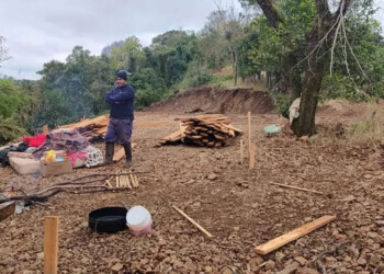 Valle del Cuña Pirú: denuncian usurpación y desmonte en territorio mbya titularizado