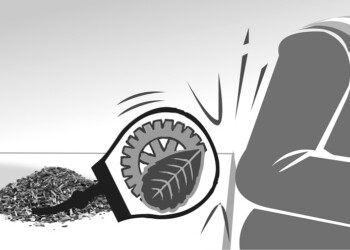 Nación festeja los bajos precios y no envió presupuesto para el INYM al Congreso