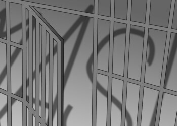 Pedofilia y MASI, reformas legislativas que no forman parte del “caso Kiczka”