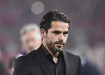 Quiénes son los candidatos para reemplazar a Diego Martínez en Boca