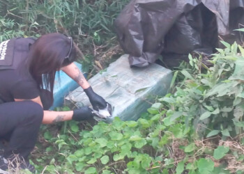 Debajo de una carpa oculta en el monte hallaron bultos con marihuana