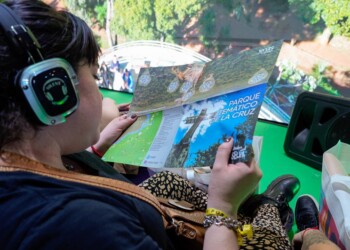 “Misiones siempre tiene una destacada participación en la FIT”