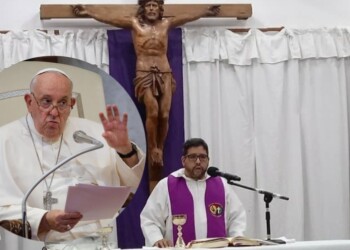 “El papa Francisco siempre fue crítico con todos los gobiernos, no solo con el de Milei”