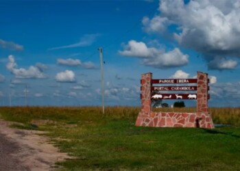 Turista italiana denunció que fue abusada en los Esteros del Iberá
