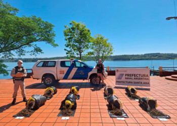 Prefectura incautó más de 140 kilos de marihuana en Santa Ana