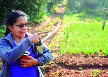 Comenzó como un gran desafío y ya transcurrieron veinte años