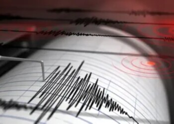 Fuerte sismo ocasionó temblores en San Juan, Mendoza y San Luis