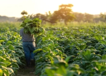 “La reforma va a facilitar la precarización laboral y aumentará la litigiosidad”