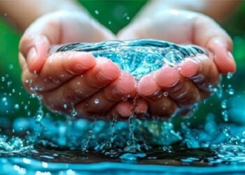 Fuente de vida y conexión