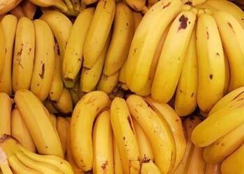 Dónde guardar las bananas en la casa para que no se echen a perder