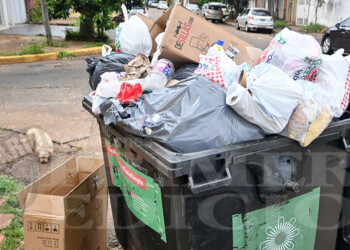 Cuáles son los cambios que habrá con el nuevo sistema de recolección de residuos posadeño