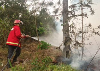 En una semana, Bomberos de la Policía sofocaron 46 focos de incendios