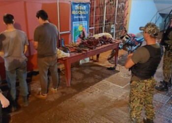 Cazadores furtivos faenaron animales protegidos y terminaron detenidos