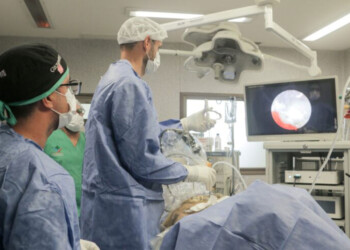 Misiones destacada por innovadora cirugía para pacientes con epilepsia