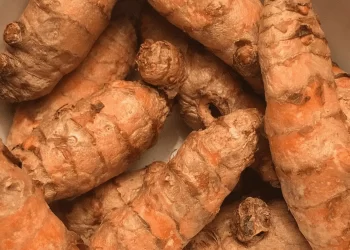 Cúrcuma: cuáles son los beneficios de su consumo