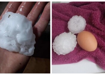 Graves daños y animales muertos por caída de granizo en el Litoral