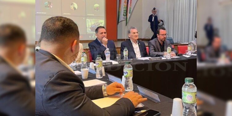 PERSPECTIVAS. El Consejo Federal de Política Indígena se reunió en Entre Ríos por segunda vez desde su creación y busca coordinar y promover la implementación de políticas para el desarrollo de los pueblos originarios.