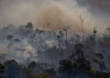 Humo e incendios: “Nosotros estamos en alerta continua” en Misiones