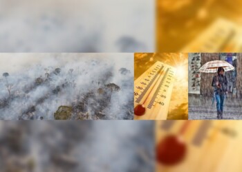 Renuevan alerta por humo en Misiones y anticipan un inicio de semana caluroso: cuándo vuelven las lluvias