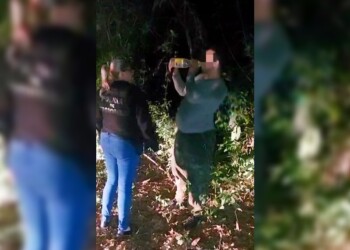 Rescatan a dos personas desaparecidas en zonas de monte en Misiones