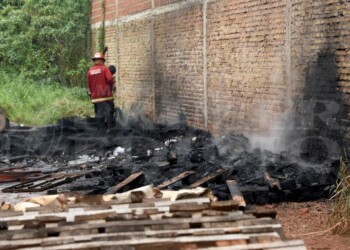 Incendio en un terreno baldío de Posadas generó preocupación: “Se determinó que fue intencional”