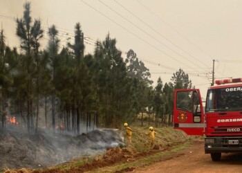 Tiró una colilla encendida y provocó un incendio en Oberá