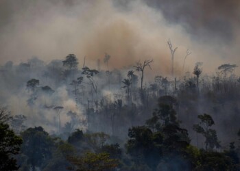La ola de calor intenso y el humo se mantendrán hasta el miércoles