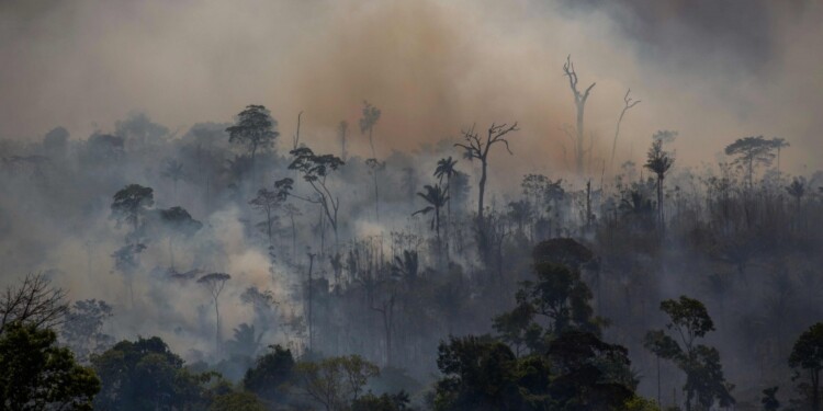 EN LA REGIÓN. Argentina junto a otros países sufrieron la presencia del humo de los incendios en el Amazonas.
