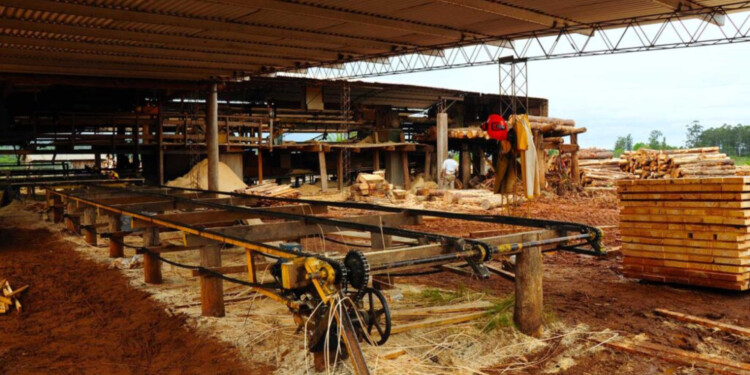 MÁS AFECTADA. La industria atraviesa un duro presente en Misiones debido a la crisis económica nacional