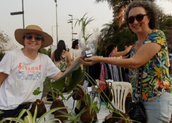 5 reglas de inteligencia emocional para emprendedores