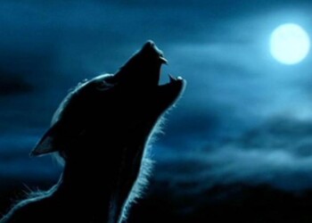 ¿Adiós al lobizón? Presentaron un proyecto para eliminar el padrinazgo presidencial