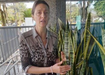 Neuro psicología para sanar en casa