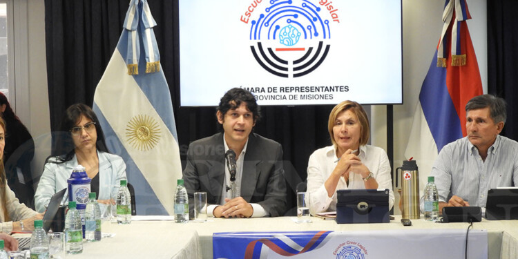 ENFOQUE INTEGRAL. La proyección para el 2025 continuará trabajando con un enfoque integral que abarque la protección de la niñez, la prevención y el fortalecimiento de dispositivos de atención.