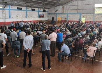 Yerba mate: “No podemos esperar más nada del INYM”